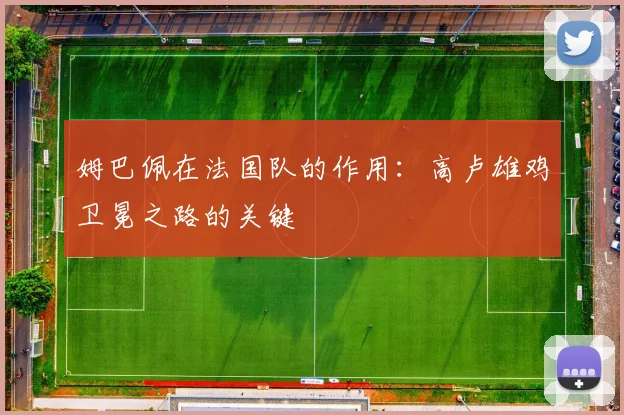 姆巴佩在法国队的作用:高卢雄鸡卫冕之路的关键